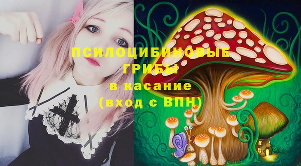 стаф Армянск