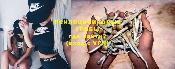 мескалин Арсеньев
