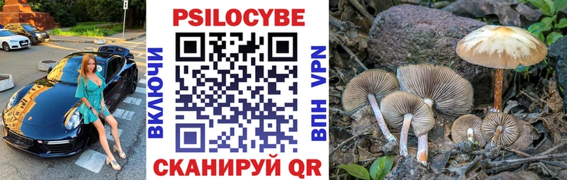 Псилоцибиновые грибы мицелий  Соль-Илецк 